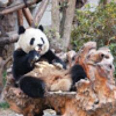 EmanuelPavelec's profile picture. 