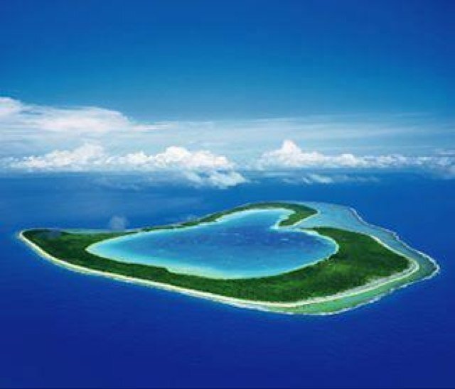 donfan23's profile picture. 海とハワイが大好きなCarディラーマンです。FX兼業&仮想通貨はリップル他ガチ保有中！好きかってに思うようににつぶやいていきます、初めましてはどうぞよろしく！はじめてじゃない人はまいど！