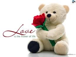 Love is life!!!!! INDIA