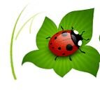 Orgdesign's profile picture. Ничего лишнего, тольо воплощение ваших идей. Web, SEO, SMM