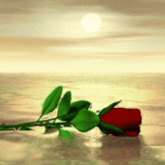 الحب دمعة وابتسامة