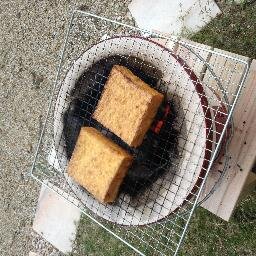 厚揚げ大好き、ひまちゃんです