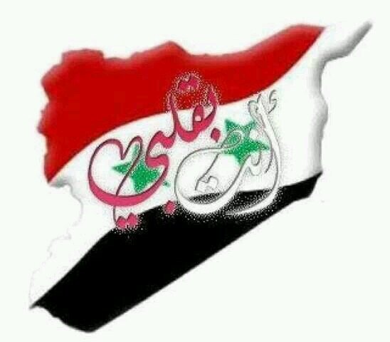 AlshamShamet's profile picture. 