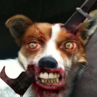 Carlos is coming for you!!!!!