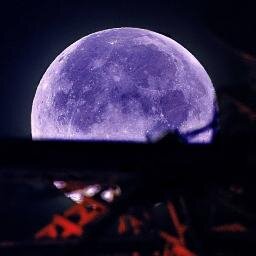 やっぱりチラリズムが最高
