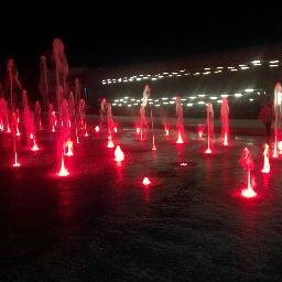 engel_yaki's profile picture. IT PROFESSIONAL