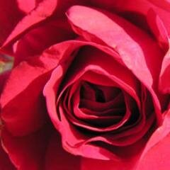 CoachAmour26000's profile picture. L'Amour C Génial🥰 Mais si C compliqué C dur 😰 Je suis #coachenamour #lovecoach #écoute #aide par #tél #look en Dépt 26/07 #Conseilserieux #chagrindamour