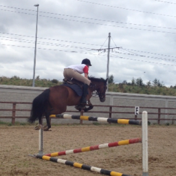 FettercairnYHP's profile picture. Horse riding stables situated in the heart of Tallaght. Tel: 01 4627214