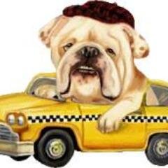 TRANSPORTE DE ANIMAIS.( CÃES, GATOS E OUTROS DOMÉSTICOS) TODOS OS LUGARES:
FAZEMOS RESGATES EM TODO O RIO DE JANEIRO CONTATO: 3684-2931/ 99158-8455