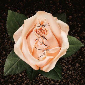 CauseProjectFGM's profile picture. In Africa an estimated 101 million girls 10 years old and above have undergone FGM.