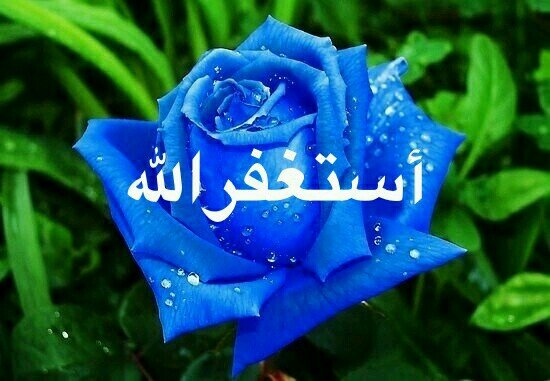 ‏لا اله الا الله محمد رسول الله              الحساب ملغي