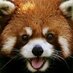 Iwan Keymer (@iwankeymer) Twitter profile photo