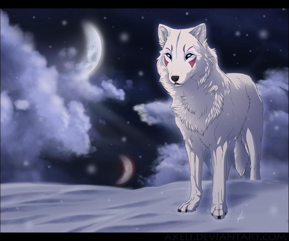 a friendly wolf pup to all cats and wolfs, she-pup white and a strong fighter