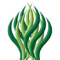 algacompany's profile picture. Natural seaweed products for industrial, commercial & domestic markets