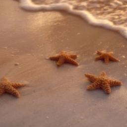 TzviaM's profile picture. Mommy, teacher, continuous learner, info junkie. Passionate about mediational-style teaching, flowers and purple gel pens. Not necessarily in that order