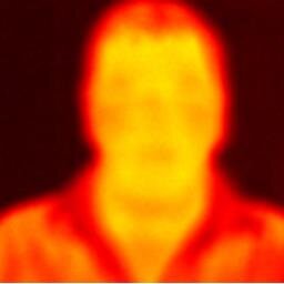 mguarcas's profile picture. 