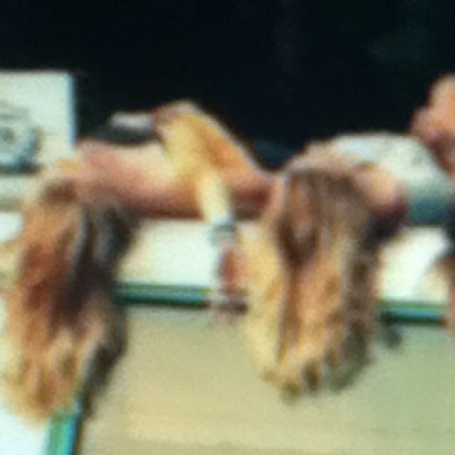 Gina, Benthe & Lisa #1 Klas HA3