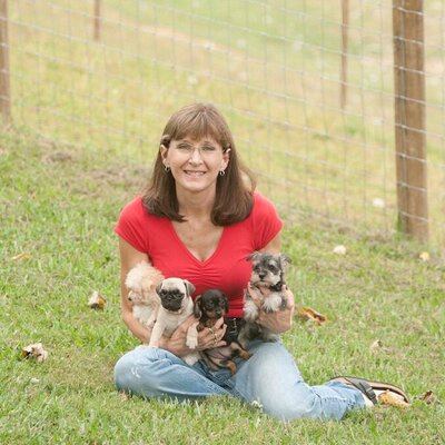 Sexton farms store puppies