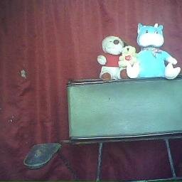 matenatica tengo 12 años y voy a sxto año de escuela