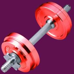 The new fitness iPhone app alllowing users to customize their workouts.