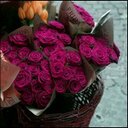 Sara (@050Sar) Twitter