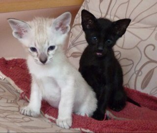 Mrs_F_Benitez's profile picture. 