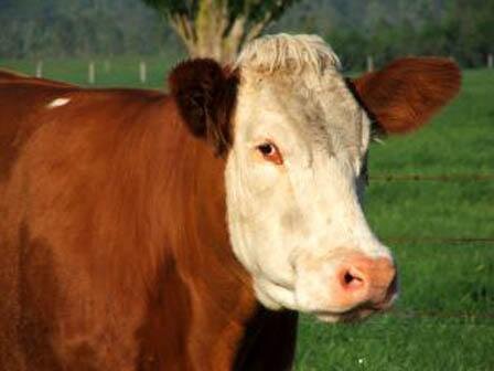 joehoe202's profile picture. 