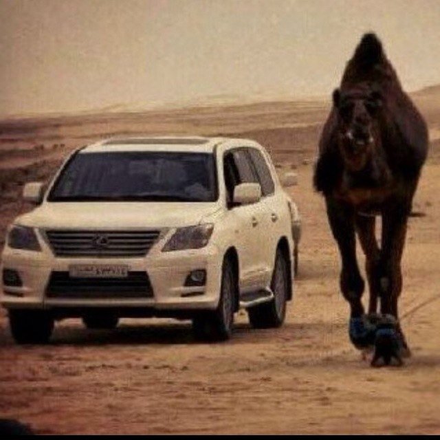 استغفر الله العظيم واتوب اليه ✨✨