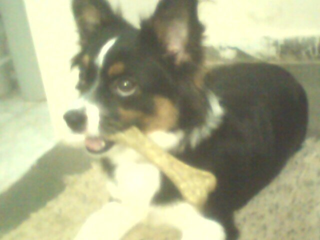 Sou Muito Linda
