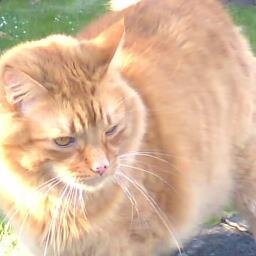 rab1361's profile picture. I Love Heavy Rock