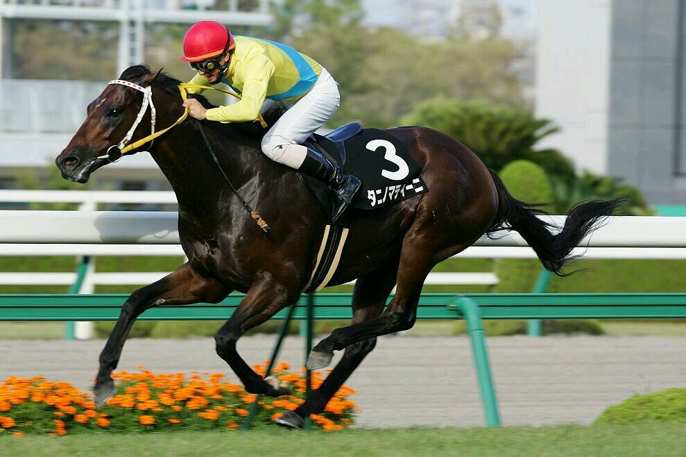 競馬で曜日感覚を保っている、三十路野郎。主に単複で勝負。条件戦のダートの短距離が得意♪ 血統を勉強中で最近はまってる産駒は、ロードカナロア、サウスヴィグラス、アポロキングダム、シニスターミニスター、ハービンジャー、ルーラーシップです。やっぱ馬は血で走る!!とドヤ顔で言えるようになりたいなー。