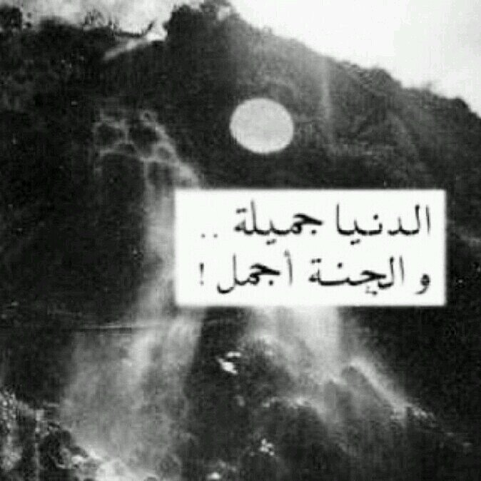 ‏‏‏بعض تغريدتي تحكيَ عَن حالي وبعضها مجَرد نصّوص اعجبتنيَ.