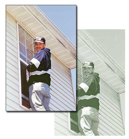 20 Years of professionally cleaning residential windows. We also clean Gutters & Pressure Wash