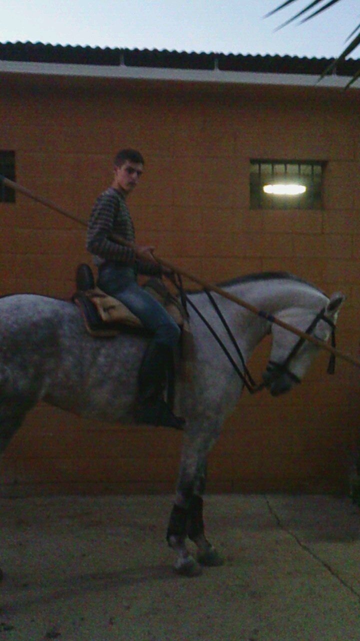 me encanta el fútbol y amante de los caballos y de la semana Santa