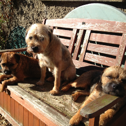 Border terrorists, Jake aged 15, Stan 22 months and Betty 10 months, soon to be joined by Percy aged 5 weeks!