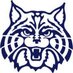 Northwestern VPA (@northwesternvpa) Twitter profile photo