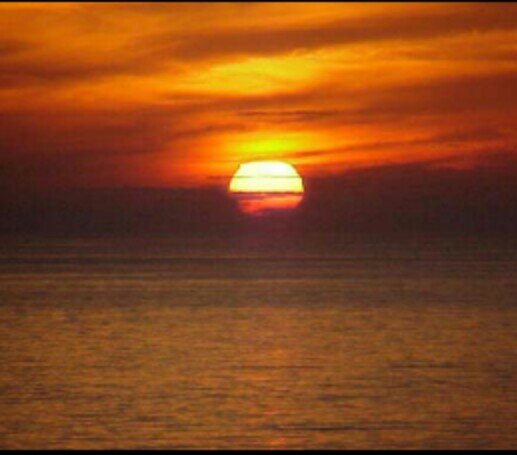 sdsa89's profile picture. 