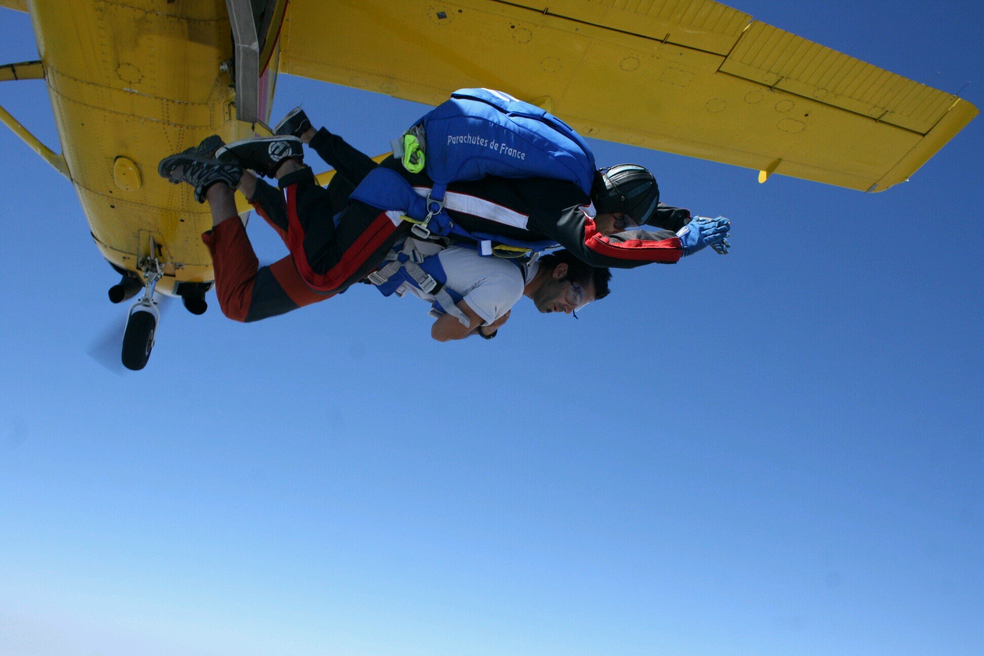 gomantes's profile picture. 