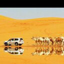 الجزل الدوسري (@0565104437) Twitter