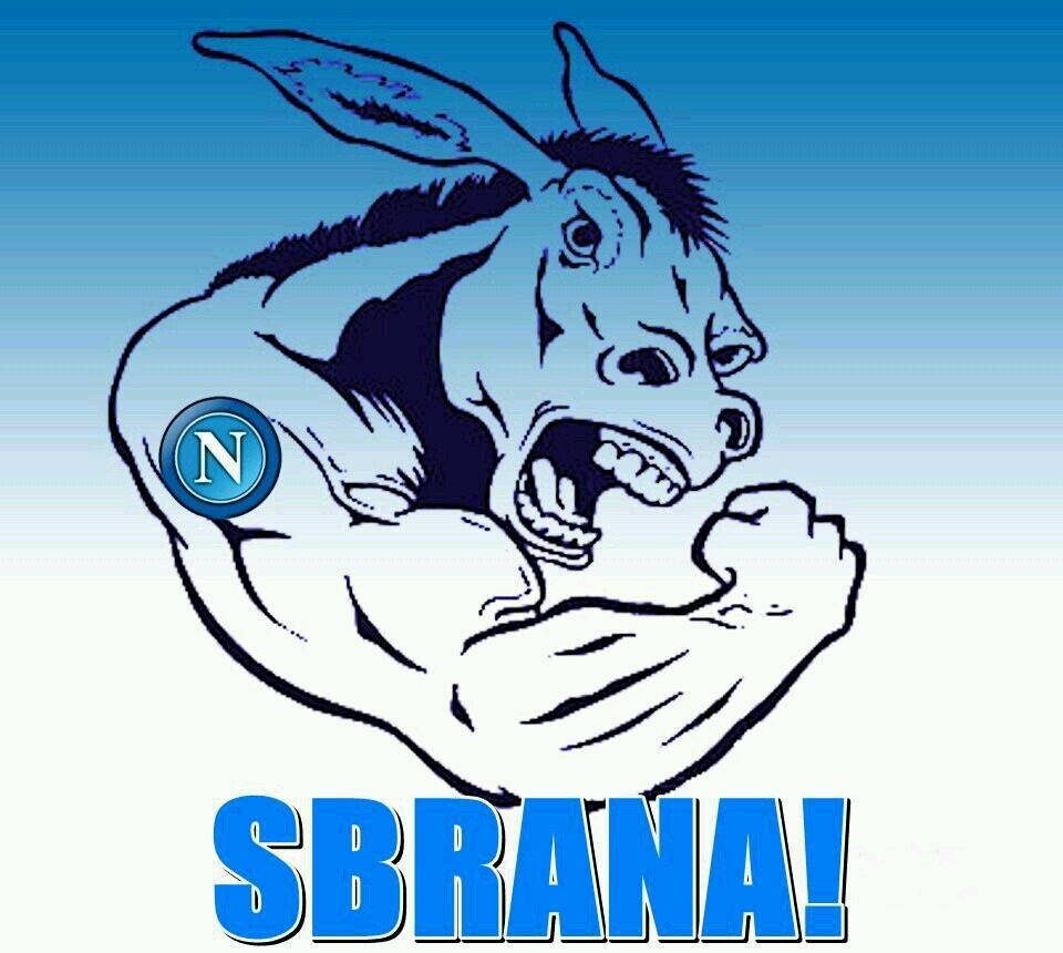 RaffaeleRusso20's profile picture. 