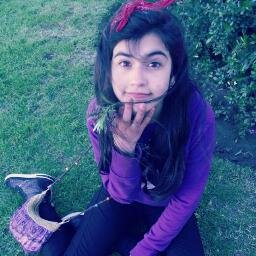 Hiii,soy directioner y mis ídolos no son normales a si que no esperen que lo sea *w*