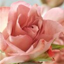 shad (@0987654321aa9) Twitter
