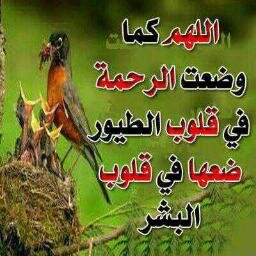 أحب الله و أحب رسوله ﷺ وأحب والديي وأحب عمل الخير وأحب ألله