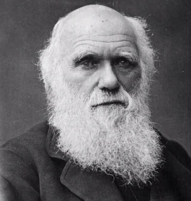 charlesdarwin89's profile picture. Known for finding the theory of evolution
