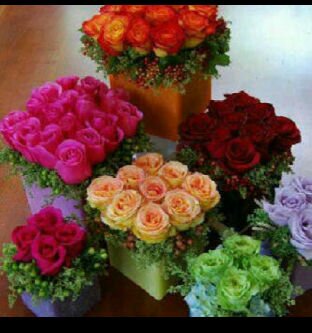 ان م جااء مني #خير …♥ م تجي مني مضرهہ .