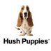 Hush Puppies Uruguay (@hushpuppiesuy) Twitter profile photo
