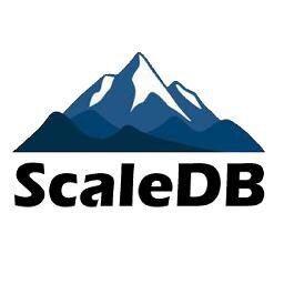The Database Virtualization Company