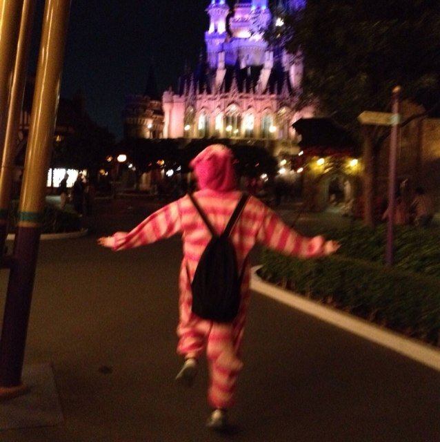 pienukiko's profile picture. 飯山満/船橋東/東京Belleパテ科1-3/きゃりーぱみゅぱみゅ/ふなっしー/ホラーらぶ