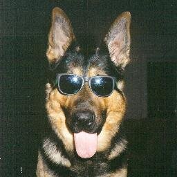 luktroc's profile picture. my life is like a romantic comedy,except theres no romance and its just me laughing at my own jokes (I wrote this when I was 15 haha)