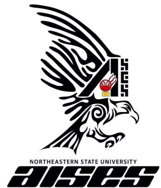 The Northeastern State University American Indian Science and Engineering Society. Science, Technology, Engineering, and Mathematics.